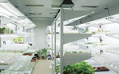 Laboratorium med konstant temperatur og kontrollplanlegging